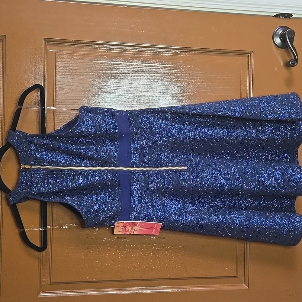 Emerald Sunday-Blue shimmery sleeveless fit n flare dress Sz S NWT - Picture 5 of 7